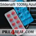 Sildenafil 100Mg Blue new14